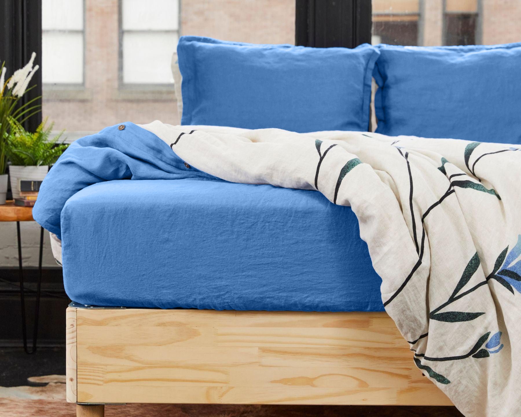 Lyseblå (Hørblomst)